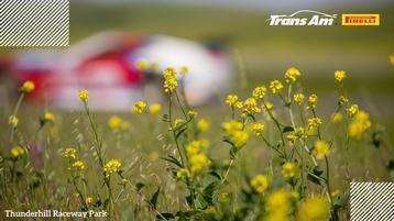 Behind the Lens by Seth DeDoes 